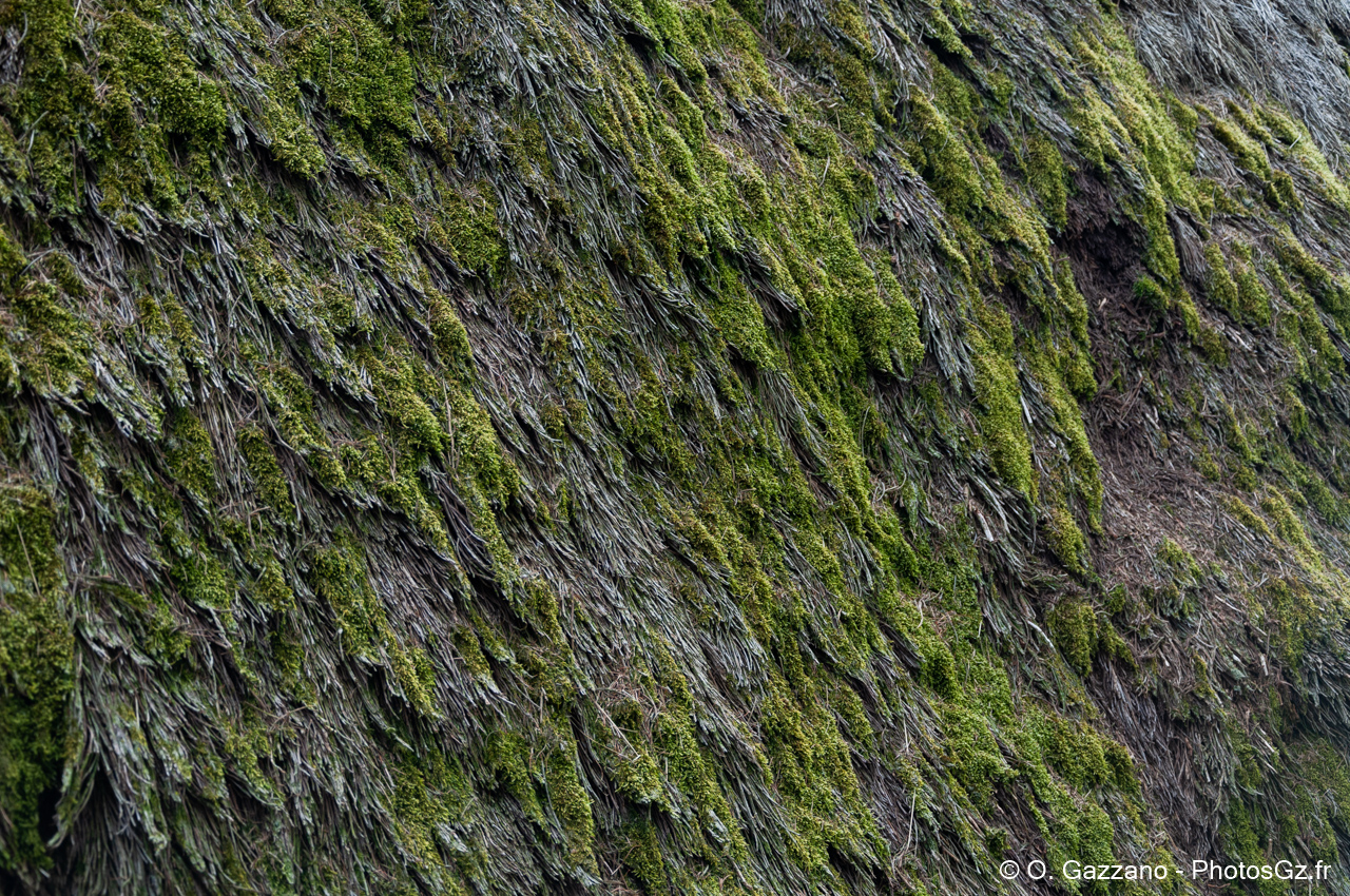 Toiture en genêt - Ardèche